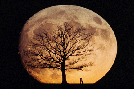 Descrição: G:\Mandar\Home Pages\Index\moonris.gif